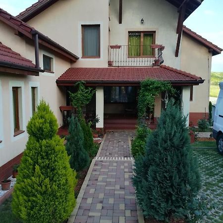 شقة Casa Doina Băile Felix المظهر الخارجي الصورة
