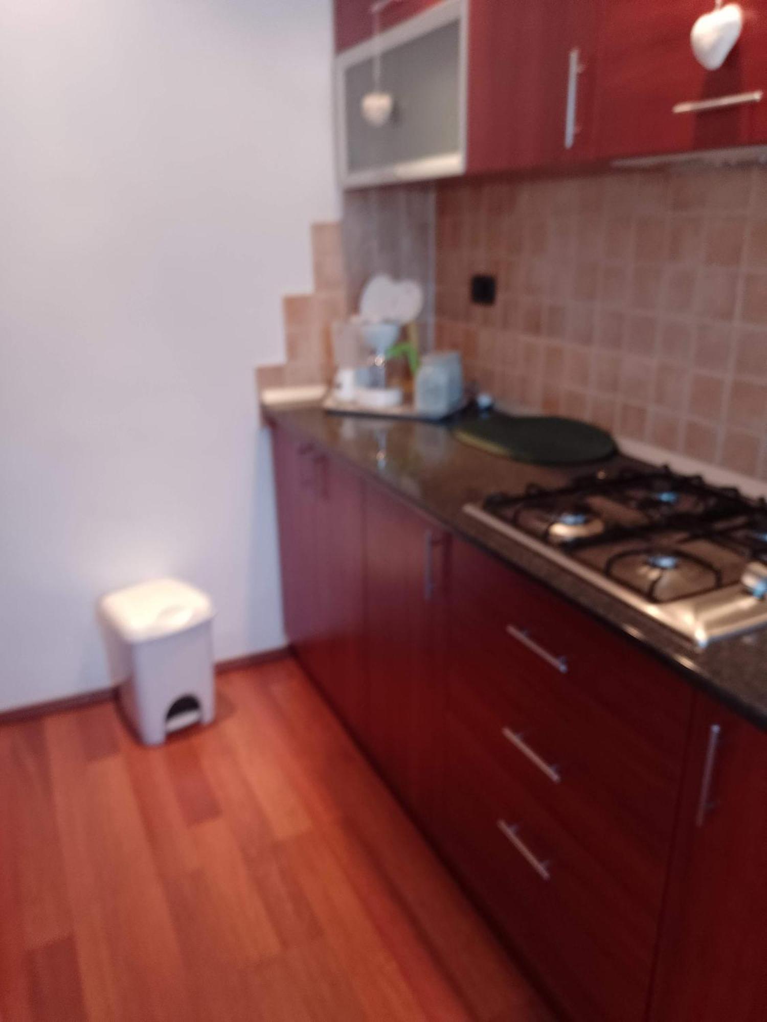 شقة Casa Doina Băile Felix المظهر الخارجي الصورة